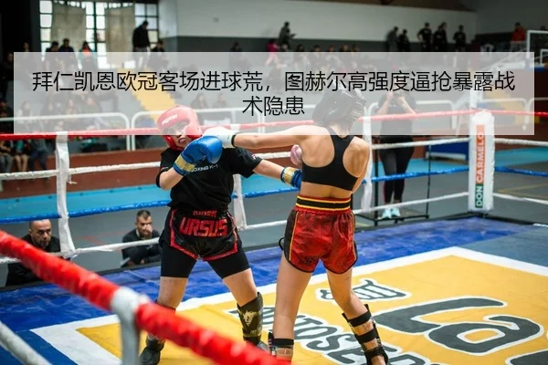 bai-ren-kai-en-ou-guan-ke-chang-jin-qiu-huang-tu-he-er-gao-qiang-du-bi-qiang-bao-lu-zhan-shu-yin-huan-2-459.jpg